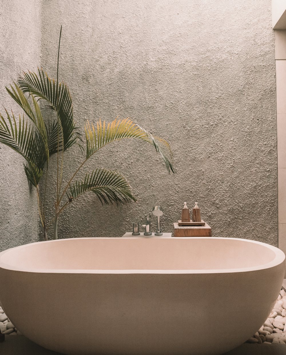 Baignoire en pierre claire et plante dans une salle de soin baignée de lumière